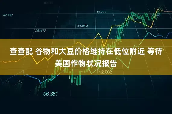 查查配 谷物和大豆价格维持在低位附近 等待美国作物状况报告