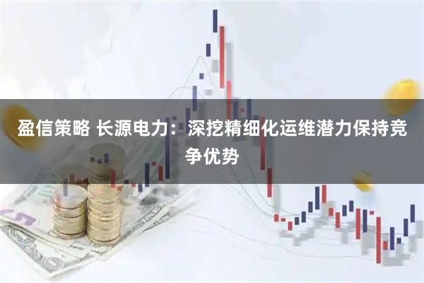 盈信策略 长源电力：深挖精细化运维潜力保持竞争优势